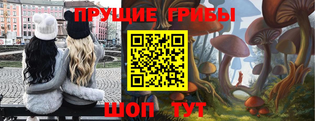 Дедовск  Галлюциногенные грибы Magic Shrooms  Вход с VPN 